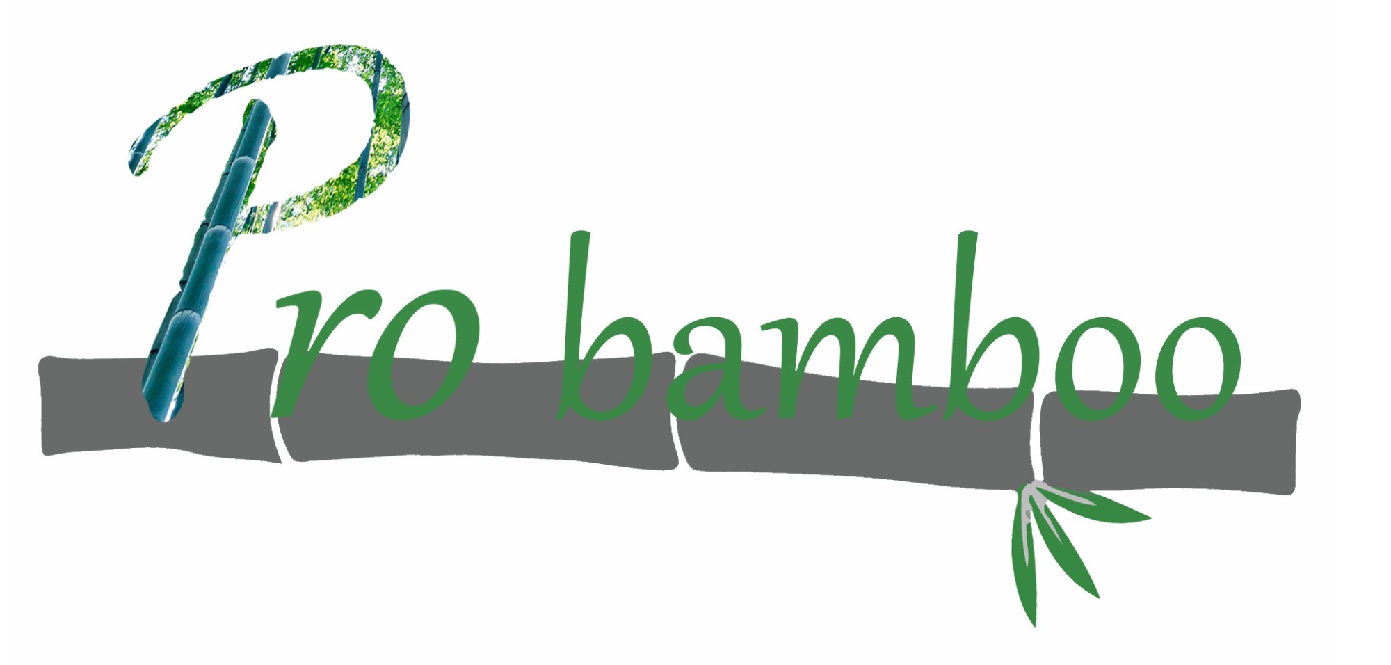Professional supplier for bamboo product. Decking | flooring| Panel